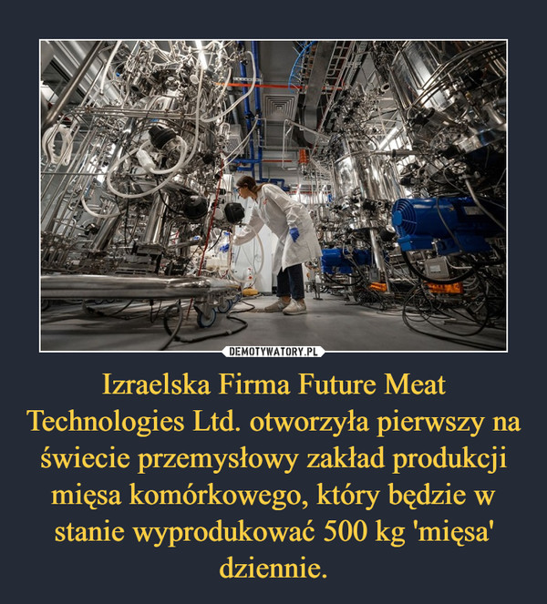 Izraelska Firma Future Meat Technologies Ltd. otworzyła pierwszy na świecie przemysłowy zakład produkcji mięsa komórkowego, który będzie w stanie wyprodukować 500 kg 'mięsa' dziennie. –  