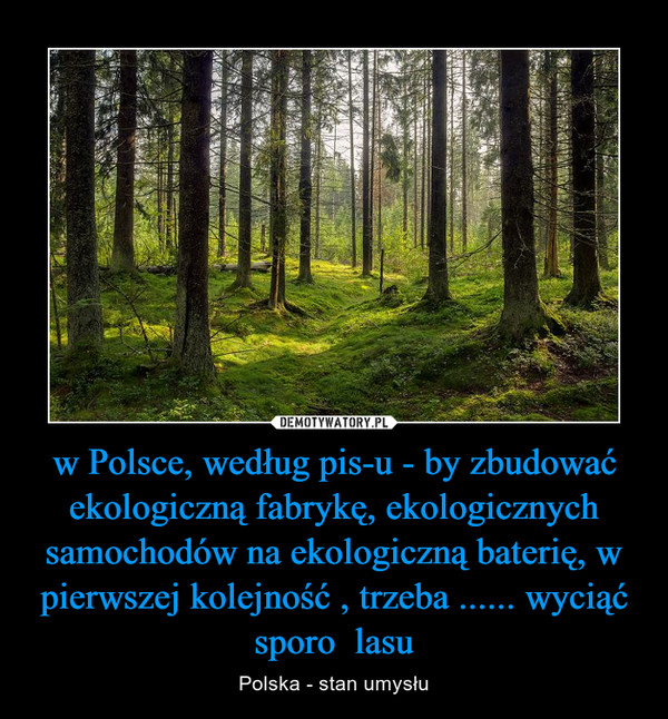 w Polsce, według pis-u - by zbudować ekologiczną fabrykę, ekologicznych samochodów na ekologiczną baterię, w pierwszej kolejność , trzeba ...... wyciąć sporo  lasu – Polska - stan umysłu 