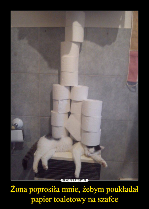 Żona poprosiła mnie, żebym poukładał papier toaletowy na szafce –  