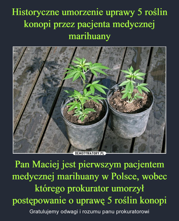 Historyczne umorzenie uprawy 5 roślin konopi przez pacjenta medycznej marihuany Pan Maciej jest pierwszym pacjentem medycznej marihuany w Polsce, wobec którego prokurator umorzył postępowanie o uprawę 5 roślin konopi