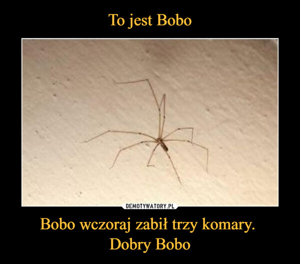 To jest Bobo Bobo wczoraj zabił trzy komary. 
Dobry Bobo