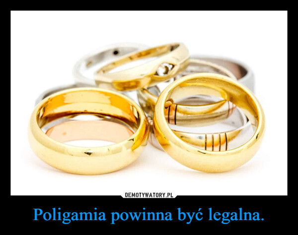 Poligamia powinna być legalna. –  