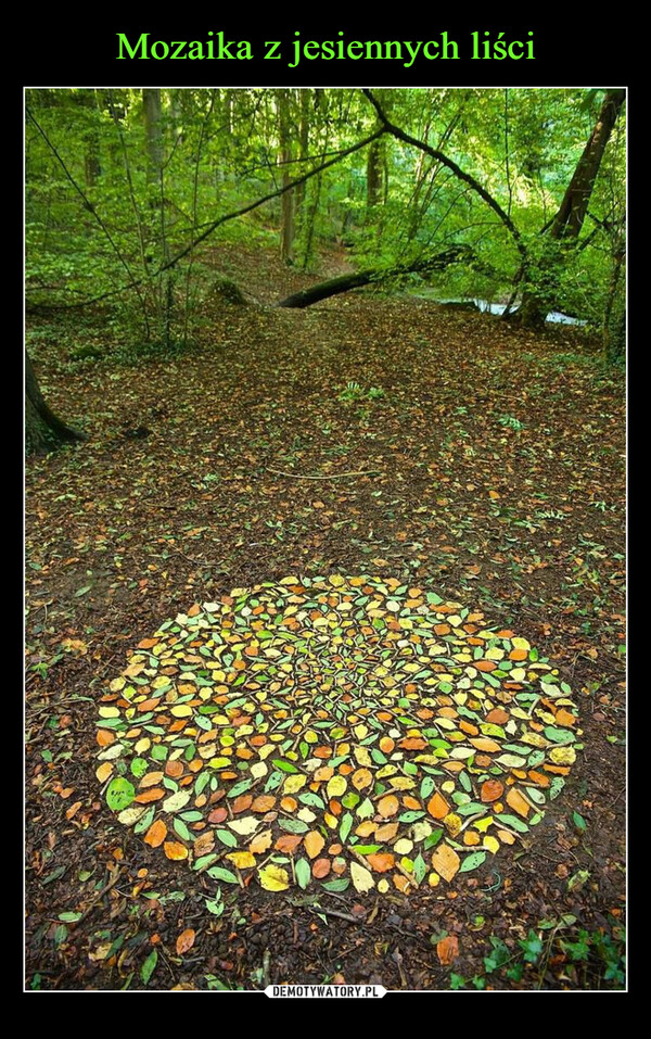 Mozaika z jesiennych liści