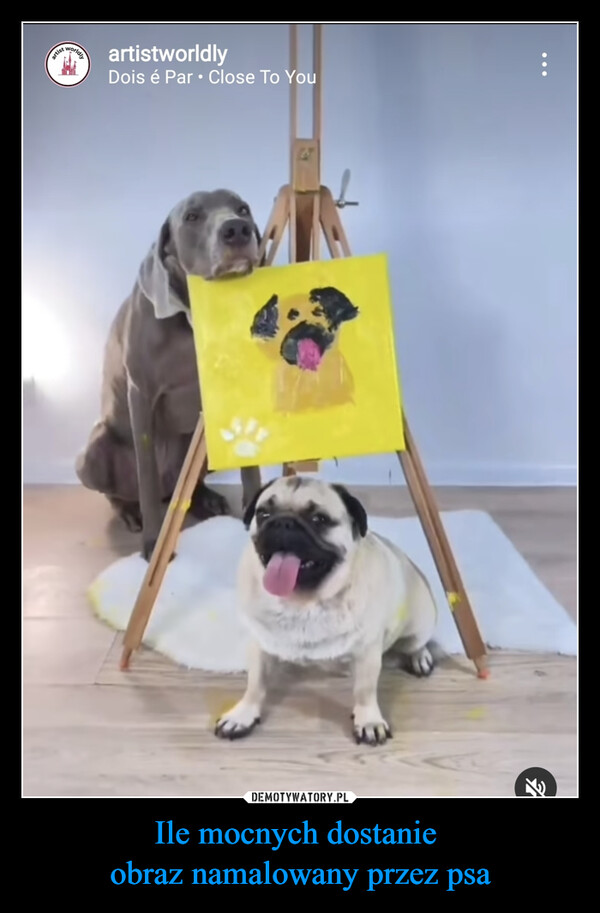 Ile mocnych dostanie obraz namalowany przez psa –  