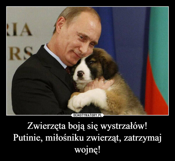 Zwierzęta boją się wystrzałów!Putinie, miłośniku zwierząt, zatrzymaj wojnę! –  