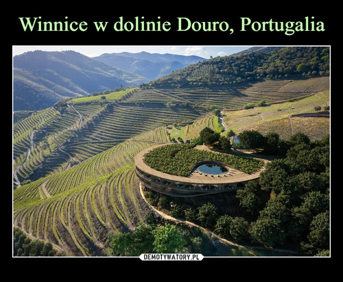 Winnice w dolinie Douro, Portugalia