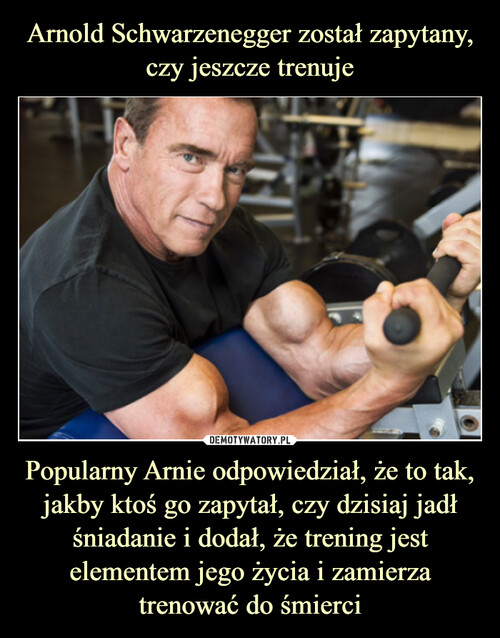 Arnold Schwarzenegger został zapytany, czy jeszcze trenuje Popularny Arnie odpowiedział, że to tak, jakby ktoś go zapytał, czy dzisiaj jadł śniadanie i dodał, że trening jest elementem jego życia i zamierza trenować do śmierci