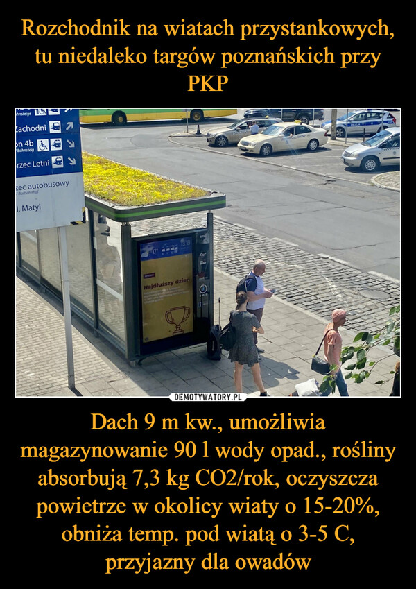 Rozchodnik na wiatach przystankowych, tu niedaleko targów poznańskich przy PKP Dach 9 m kw., umożliwia magazynowanie 90 l wody opad., rośliny absorbują 7,3 kg CO2/rok, oczyszcza powietrze w okolicy wiaty o 15-20%, obniża temp. pod wiatą o 3-5 C, przyjazny dla owadów