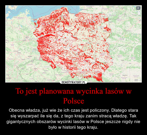 To jest planowana wycinka lasów w Polsce