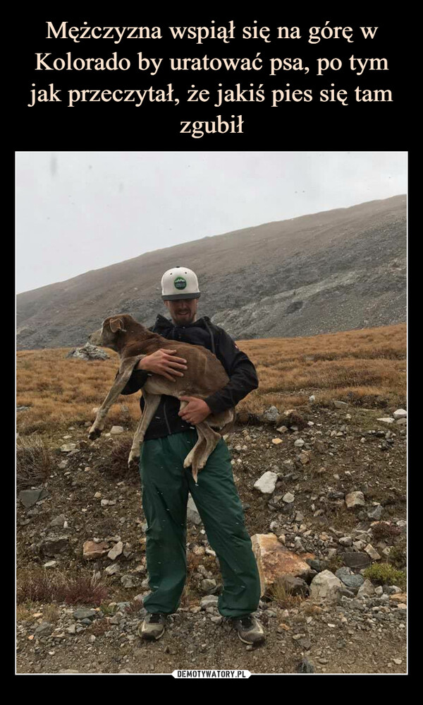 Mężczyzna wspiął się na górę w Kolorado by uratować psa, po tym jak przeczytał, że jakiś pies się tam zgubił