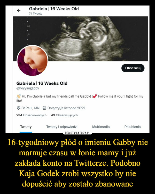 16-tygodniowy płód o imieniu Gabby nie marnuje czasu w łonie mamy i już zakłada konto na Twitterze. Podobno Kaja Godek zrobi wszystko by nie dopuścić aby zostało zbanowane –  
