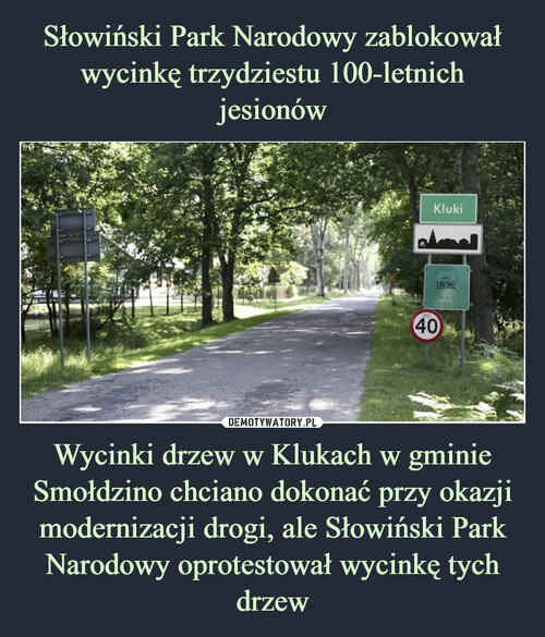 Słowiński Park Narodowy zablokował wycinkę trzydziestu 100-letnich jesionów Wycinki drzew w Klukach w gminie Smołdzino chciano dokonać przy okazji modernizacji drogi, ale Słowiński Park Narodowy oprotestował wycinkę tych drzew