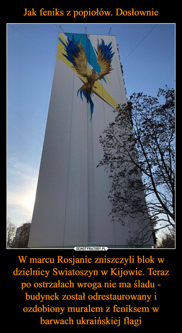 W marcu Rosjanie zniszczyli blok w dzielnicy Swiatoszyn w Kijowie. Teraz po ostrzałach wroga nie ma śladu - budynek został odrestaurowany i ozdobiony muralem z feniksem w barwach ukraińskiej flagi –  