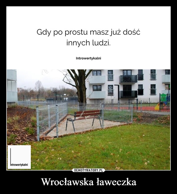 Wrocławska ławeczka –  