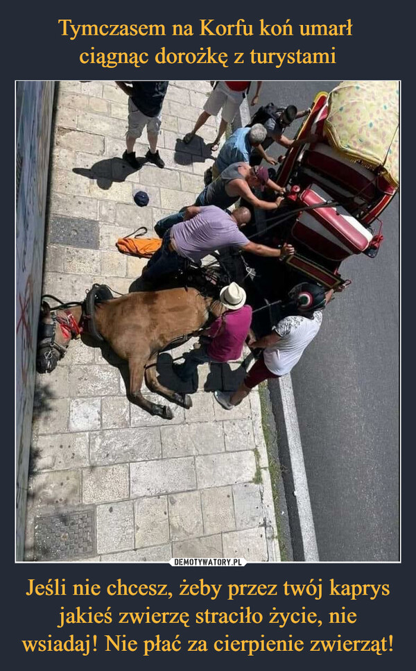 Tymczasem na Korfu koń umarł 
ciągnąc dorożkę z turystami Jeśli nie chcesz, żeby przez twój kaprys jakieś zwierzę straciło życie, nie wsiadaj! Nie płać za cierpienie zwierząt!