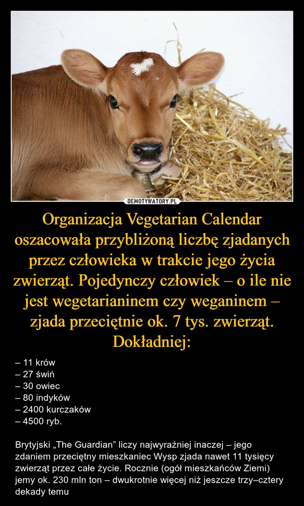 Organizacja Vegetarian Calendar oszacowała przybliżoną liczbę zjadanych przez człowieka w trakcie jego życia zwierząt. Pojedynczy człowiek – o ile nie jest wegetarianinem czy weganinem – zjada przeciętnie ok. 7 tys. zwierząt. Dokładniej: – – 11 krów– 27 świń– 30 owiec– 80 indyków– 2400 kurczaków– 4500 ryb.Brytyjski „The Guardian” liczy najwyraźniej inaczej – jego zdaniem przeciętny mieszkaniec Wysp zjada nawet 11 tysięcy zwierząt przez całe życie. Rocznie (ogół mieszkańców Ziemi) jemy ok. 230 mln ton – dwukrotnie więcej niż jeszcze trzy–cztery dekady temu 