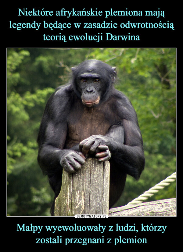 Niektóre afrykańskie plemiona mają legendy będące w zasadzie odwrotnością teorią ewolucji Darwina Małpy wyewoluowały z ludzi, którzy zostali przegnani z plemion