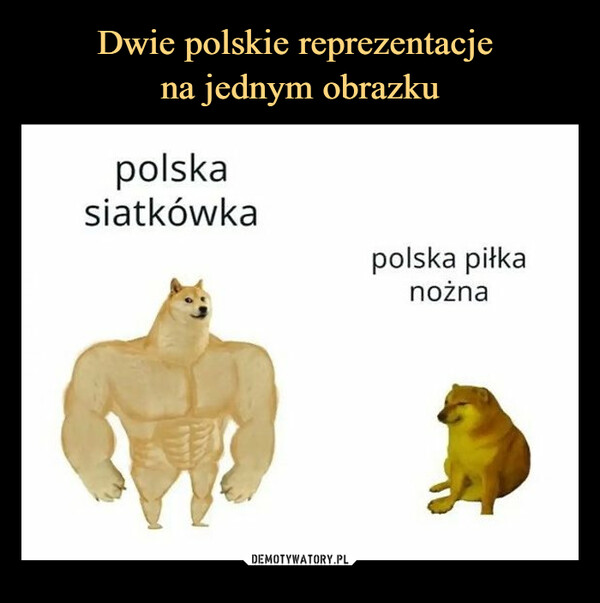 Dwie polskie reprezentacje 
na jednym obrazku