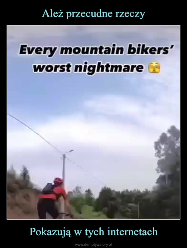 Pokazują w tych internetach –  Every mountain bikers'worst nightmare