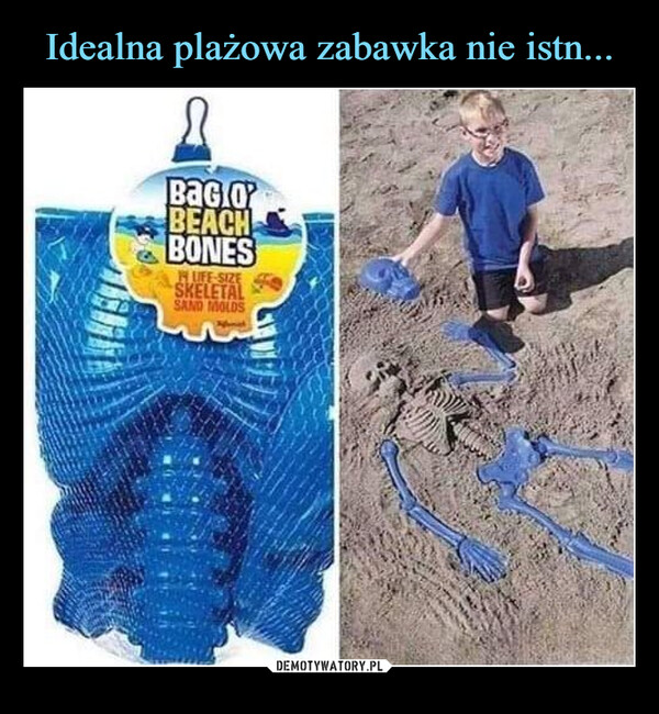 –  The perfect beach toy doesn't exi-Вас оBEACHBONESLIFE-SIZESKELETALSAND MOLDS